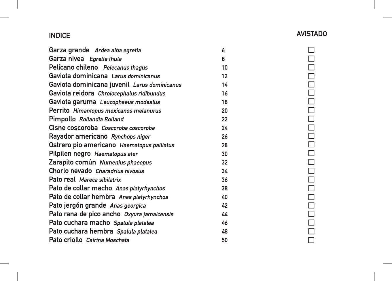 garza, pelícano, gaviota, cisne, pato real