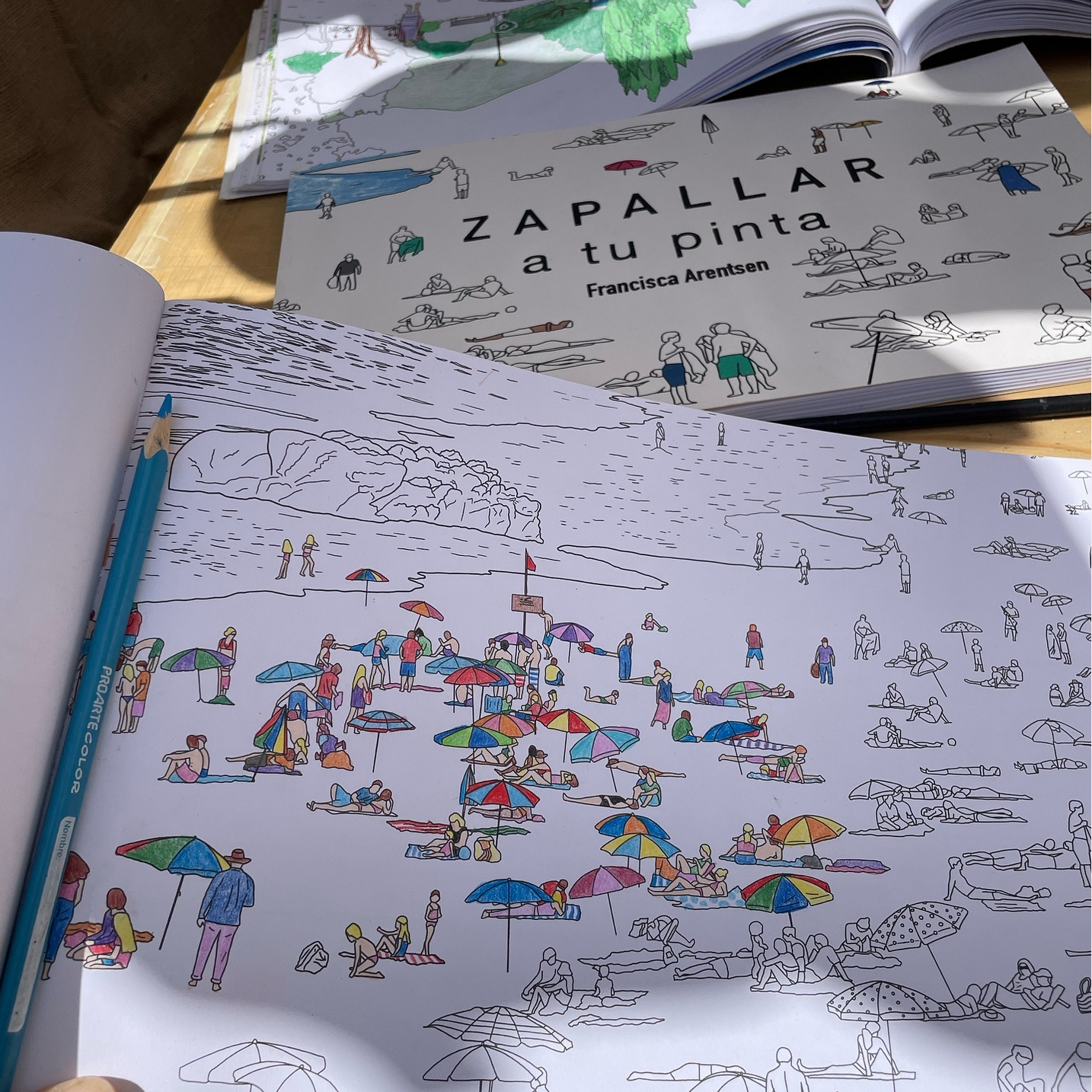 Zapallar, libro colorear