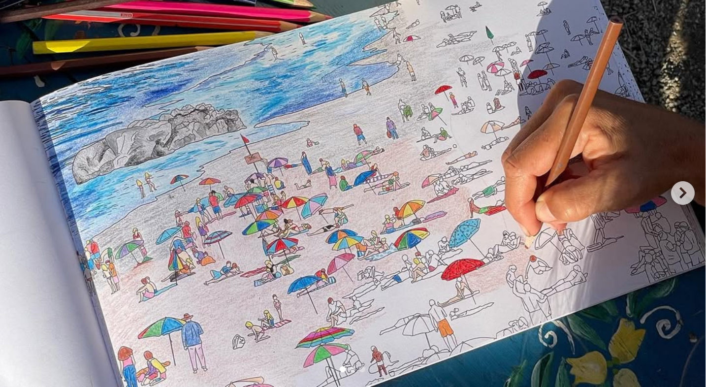 Zapallar, pintando, libro colorear