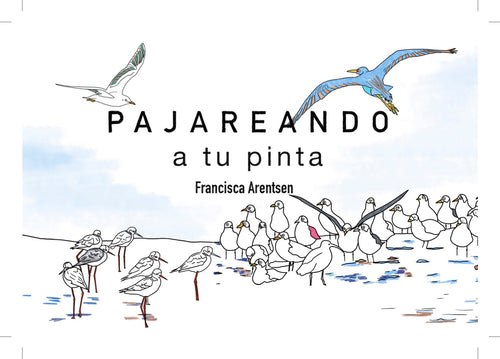 pajareo, avistamiento de aves, birdwatching, Zapallar, pilpilen, garza, loica