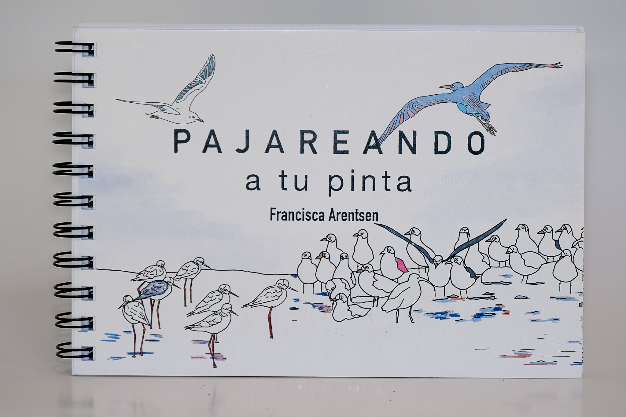 Pajareando a tu pinta