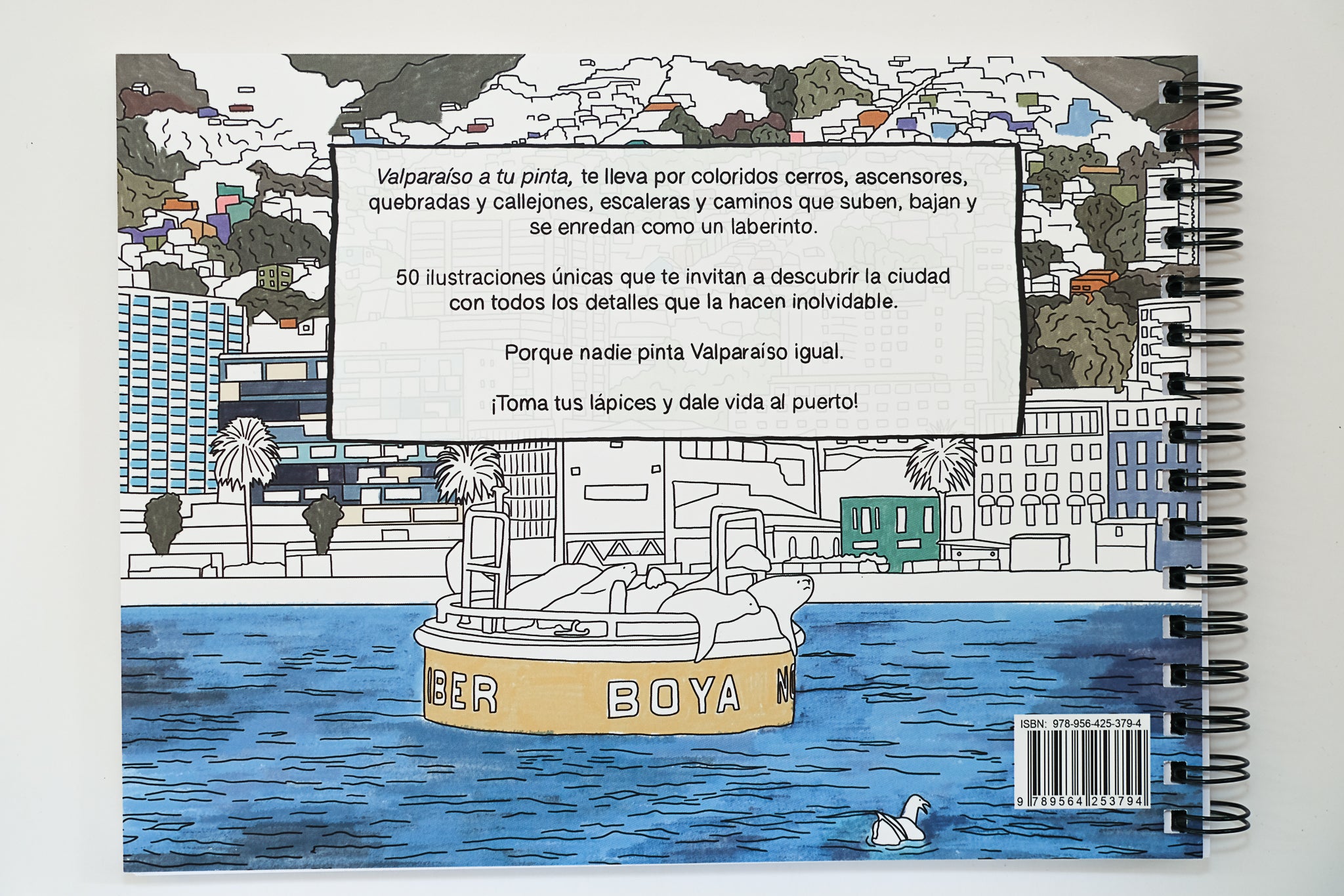 Valparaíso a tu pinta