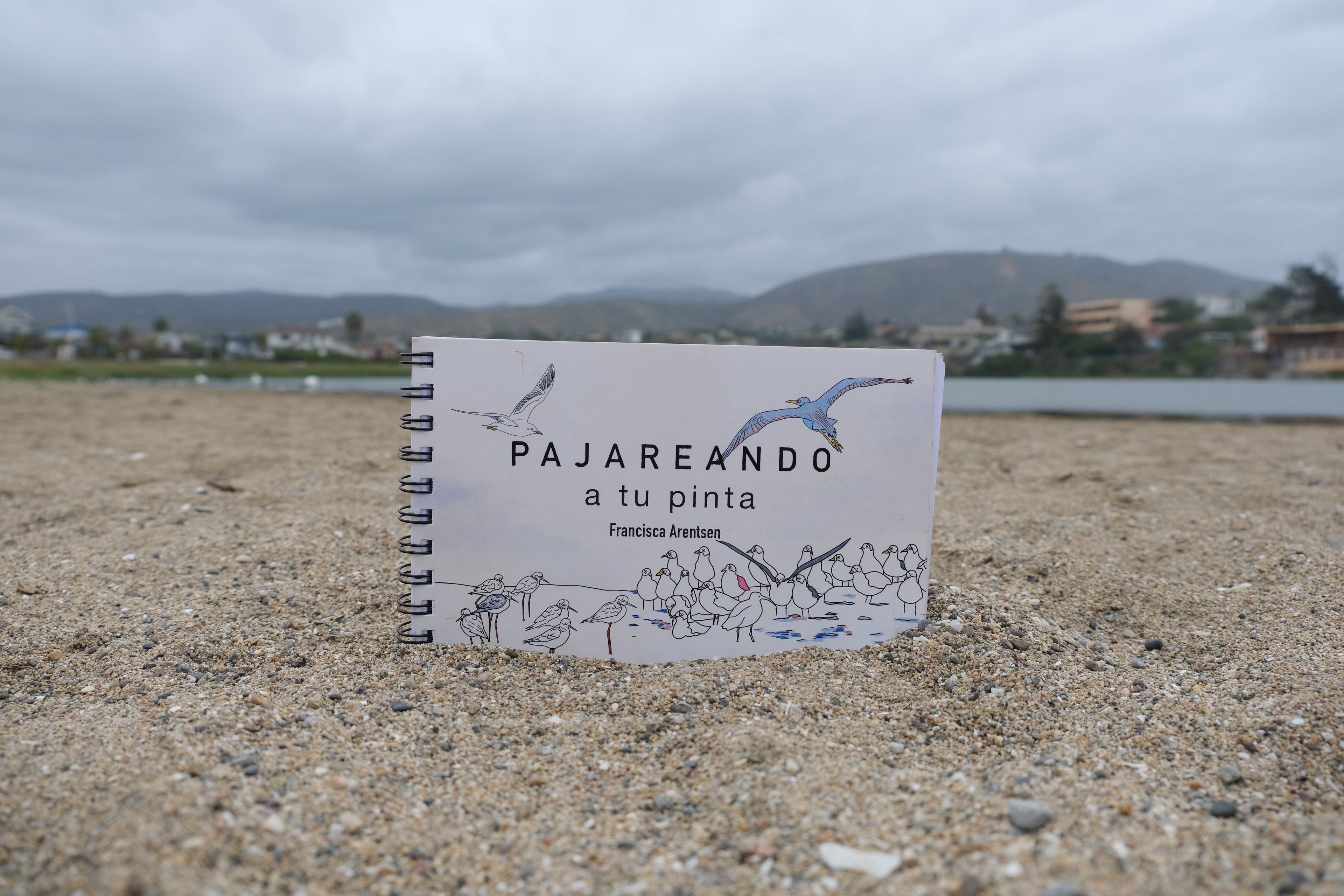 pajareando, francisca arentsen