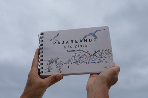 pajareando, francisca arentsen