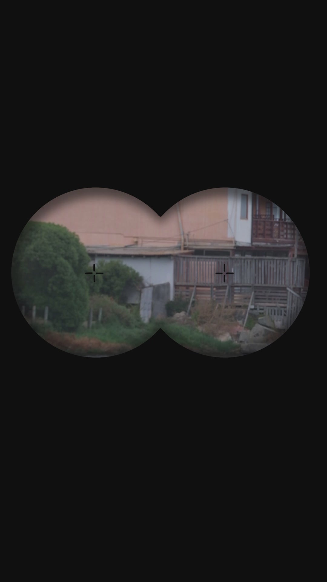 avistamiento de aves, binoculares, pajarear